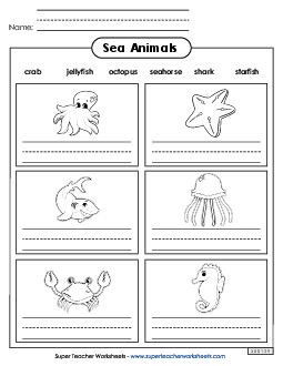 Sea Animal Names Ocean Life Worksheet