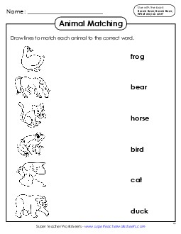 Animal Word-Picture Match Picture Book Brown Bear Worksheet