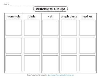 Vertebrate Groups Cut & Glue Free 2nd Grade Science Worksheet