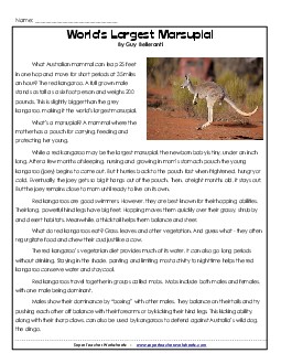 Red Kangaroo  6th Grade Reading Comprehension Worksheet