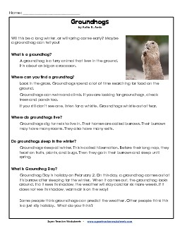 Groundhogs (Non-Fiction; Article) 2nd Grade Reading Comprehension Worksheet