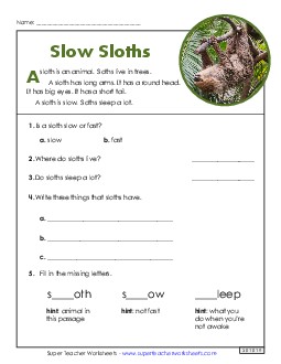 Slow Sloths (Short Article) 1st Grade Reading Comprehension Reading Comp Short Worksheet