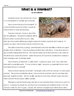 Wombat 5th Grade Reading Comprehension Worksheet