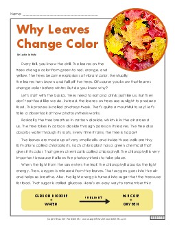 Why Leaves Change Color  4th Grade Reading Comprehension Worksheet