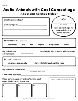 Arctic Animals (Science Project) 4th Grade Science Worksheet