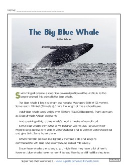 The Big Blue Whale 5th Grade Reading Comprehension Worksheet