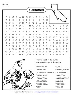 Word Search Puzzle States Individual Worksheet