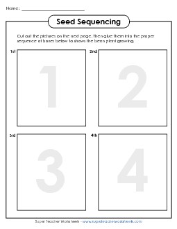 Bean Plant Sequencing (Basic) Plants Worksheet