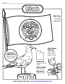 Utah State Symbols Coloring Page States Individual Worksheet