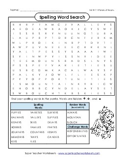 Word Search (D-11) Spelling D Worksheet