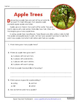 Apple Trees 3rd Grade Reading Comprehension Reading Comp Short Worksheet