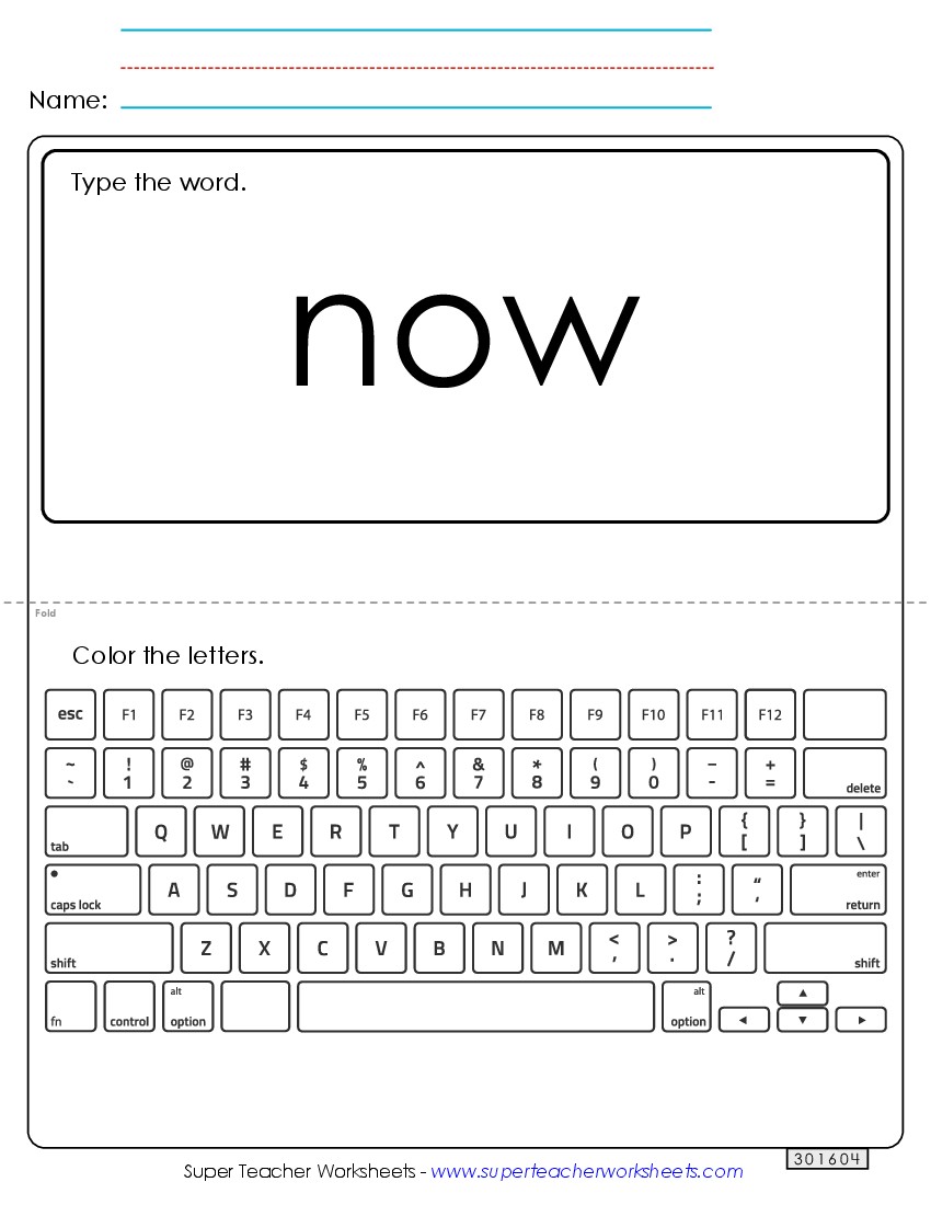 Type the Word: Now Sight Words Individual Worksheet