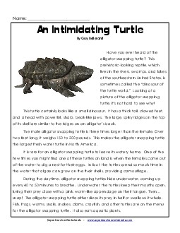 Alligator Snapping Turtle Reading Comprehension Worksheet