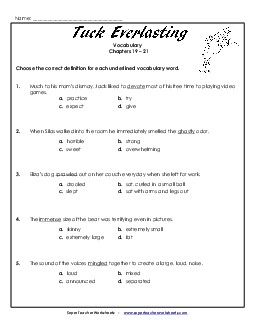 Vocabulary for Chapters 19-21 Book Tuck Everlasting Worksheet