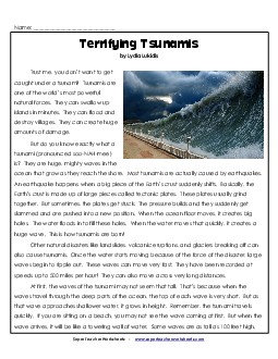 Tsunami Article Reading Comprehension Worksheet