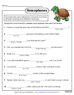 Practicing Homophones 4th Grade ELA Worksheet