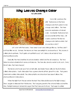 Why Leaves Change Color (Article) 4th Grade Reading Comprehension Worksheet