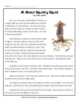 Squid 3rd Grade Reading Comprehension Worksheet