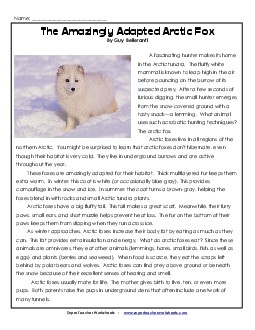 Arctic Foxes     5th Grade Reading Comprehension Worksheet