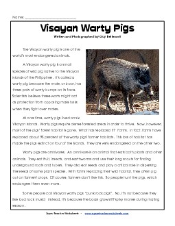 Visayan Warty Pigs 5th Grade Reading Comprehension Worksheet