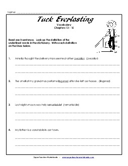 Vocabulary for Chapters 13-15 Book Tuck Everlasting Worksheet