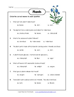 Questions about Plants Free 1st Grade Science Worksheet