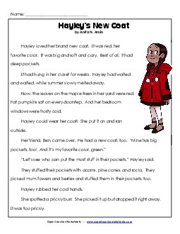 Hayley\'s New Coat 2nd Grade Reading Comprehension Worksheet