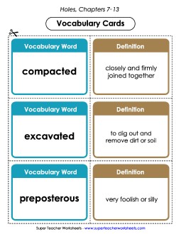 Vocabulary Cards for Chapters 7-13 Book Holes Worksheet