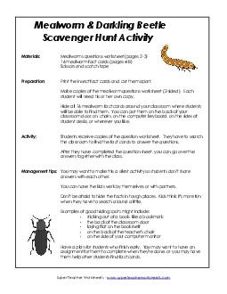 Mealworm (Darkling Beetle) Scavenger Hunt Animals Worksheet