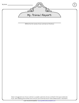 Animal Report Animals Worksheet