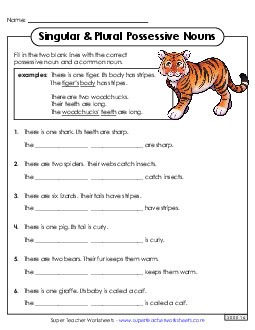 Possessive Nouns - Singular and Plural Worksheet