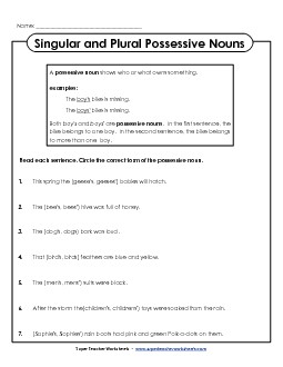 Singular & Plural Possessive Nouns Worksheet