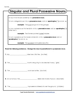 Singular & Plural Possessive Sentences Nouns Worksheet