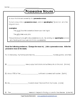 Possessive Sentences Nouns Worksheet