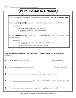 Plural Possessive Sentences Nouns Worksheet