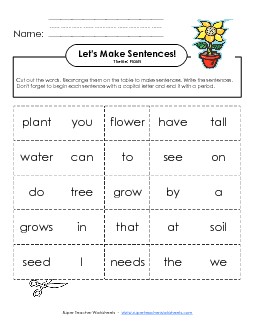 Make Sentences: Word Cards Plants Worksheet