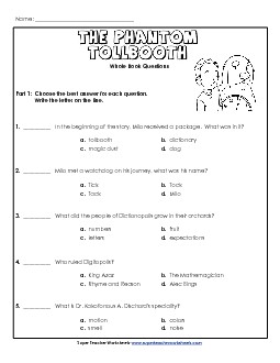 Whole Book Questions Books Worksheet