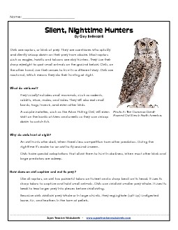 Owls Reading Comprehension Worksheet