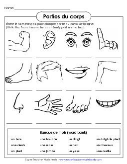 Foreign Language  Worksheets Learning Tool