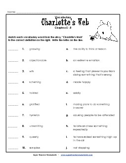 Vocab for Chapters 5-8 Books Worksheet