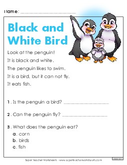 Black and White Bird Kindergarten Reading Comprehension Reading Comp Kindergarten Worksheet