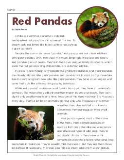 Red Pandas 5th Grade Reading Comprehension Worksheet