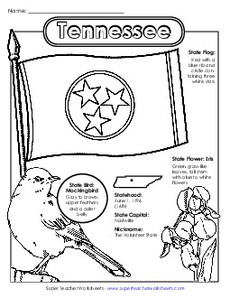 Tennessee State Symbols Coloring Page Free States Individual Worksheet