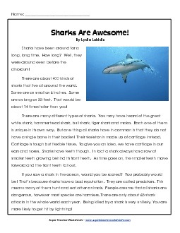 Sharks 4th Grade Reading Comprehension Worksheet