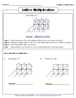 Lattice Multiplication (3-Digit Times 2-Digit) Worksheet