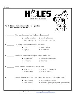 Whole Book Questions Book Holes Worksheet