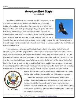 American Bald Eagle Reading Comprehension Worksheet