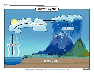 Water Cycle 3rd Grade 3rd Grade Science Worksheet