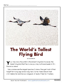 Sarus Cranes: Tallest Fliers 5th Grade Reading Comprehension Worksheet