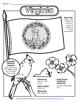 Virginia State Symbols Coloring Page Free States Individual Worksheet